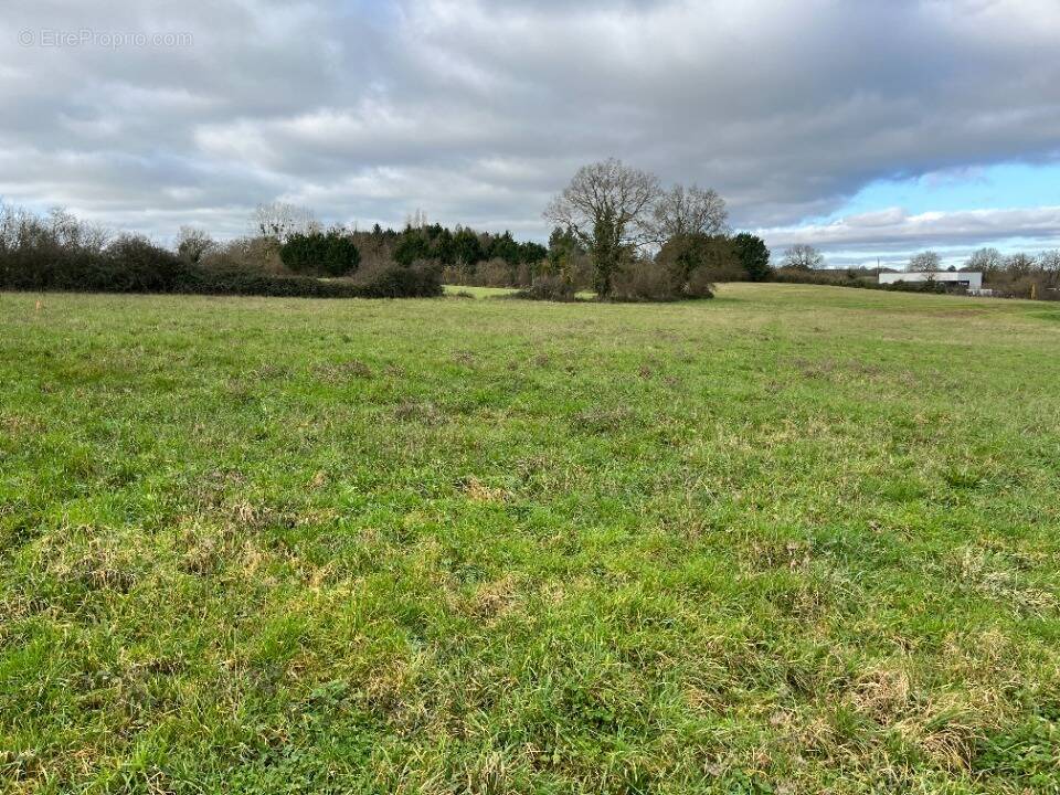 Terrain à BOUESSAY