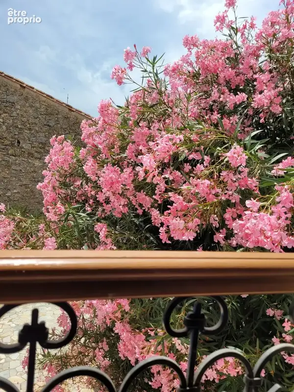 Maison Vigneronne de 495m2 Cazouls les Beziers - photo 7