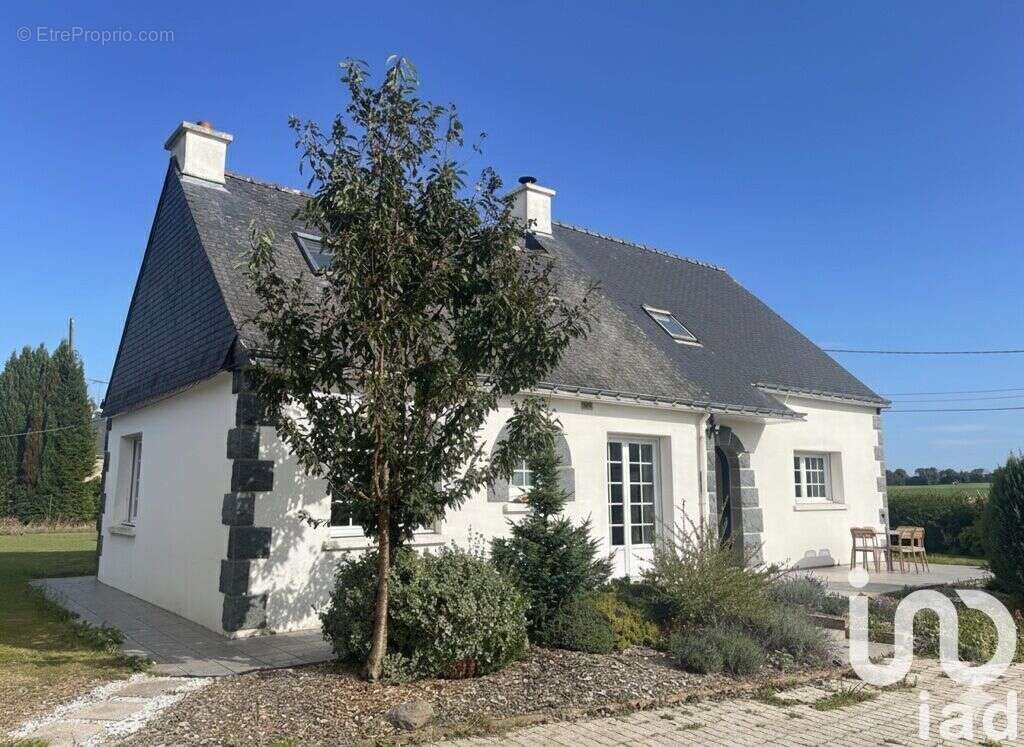 Photo 2 - Maison à SAINT-VRAN