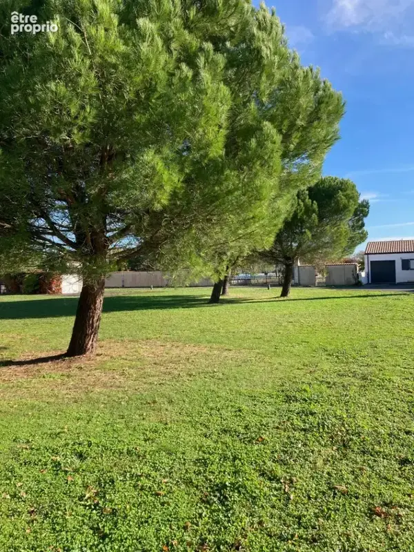 Terrain 390 m² à vendre à Saint-Rogatien (17220) - photo 3