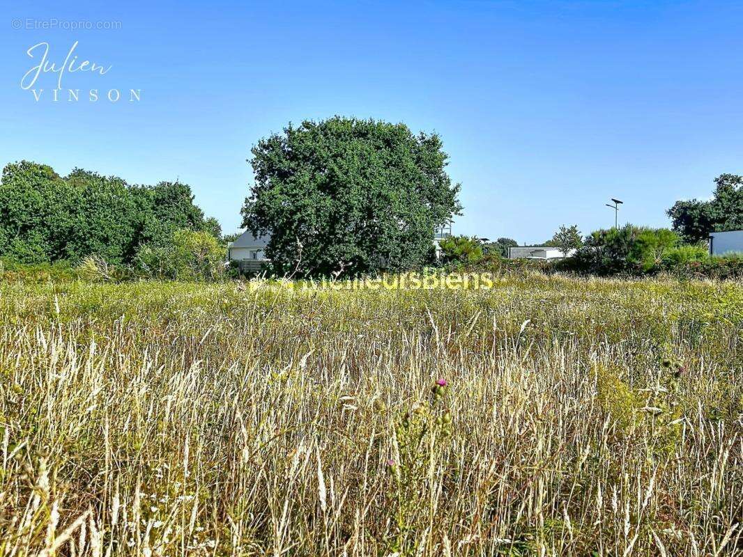 Terrain à bâtir de 934 m² à Trévou-Tréguignec - photo 2