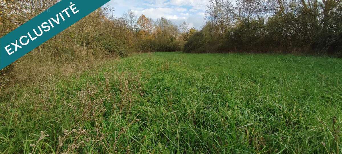 Photo 3 - Terrain à GENOUILLE