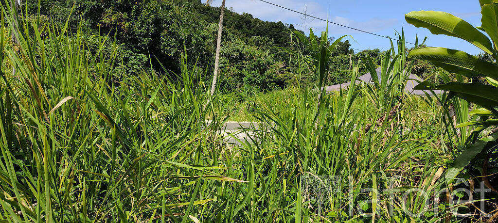 Terrain à CAPESTERRE-BELLE-EAU