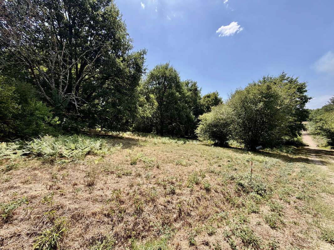 Terrain 6411 m² à Panazol  - photo 2