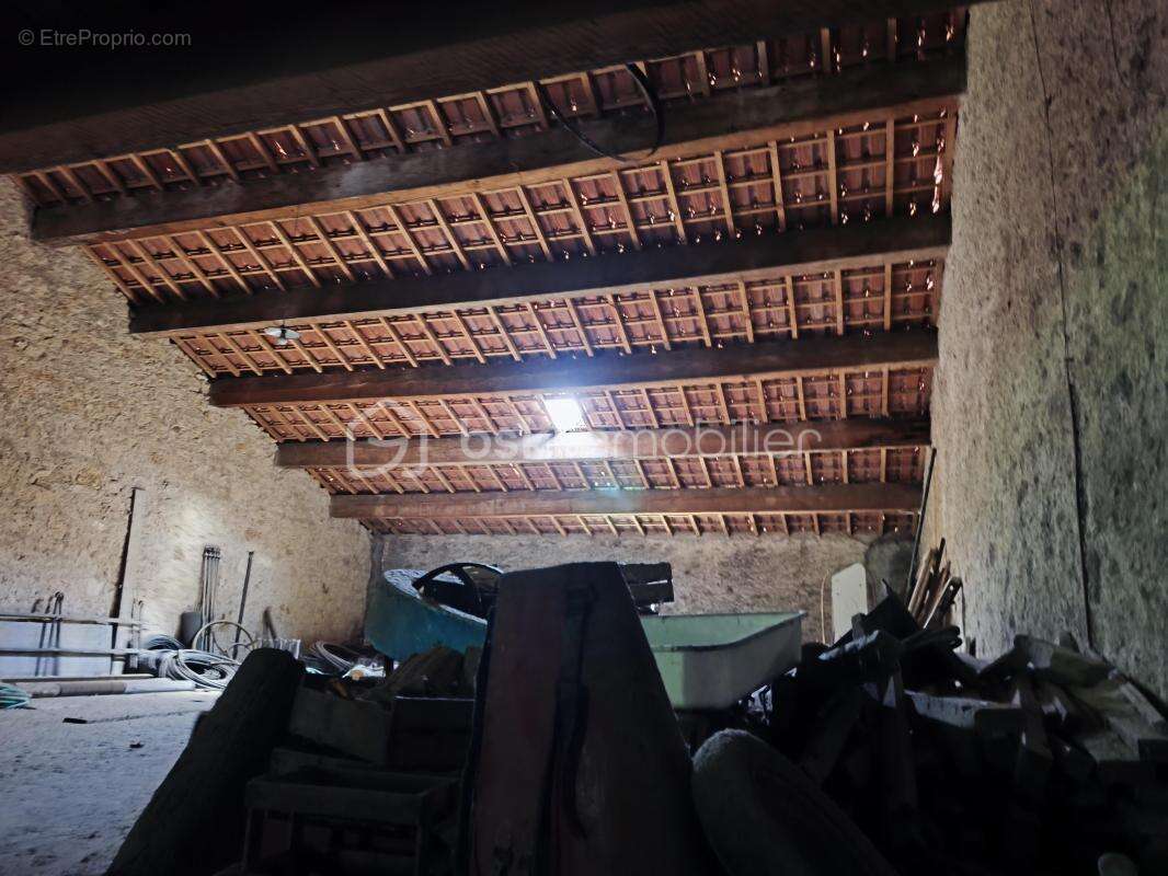 cave vinicole - photo 11