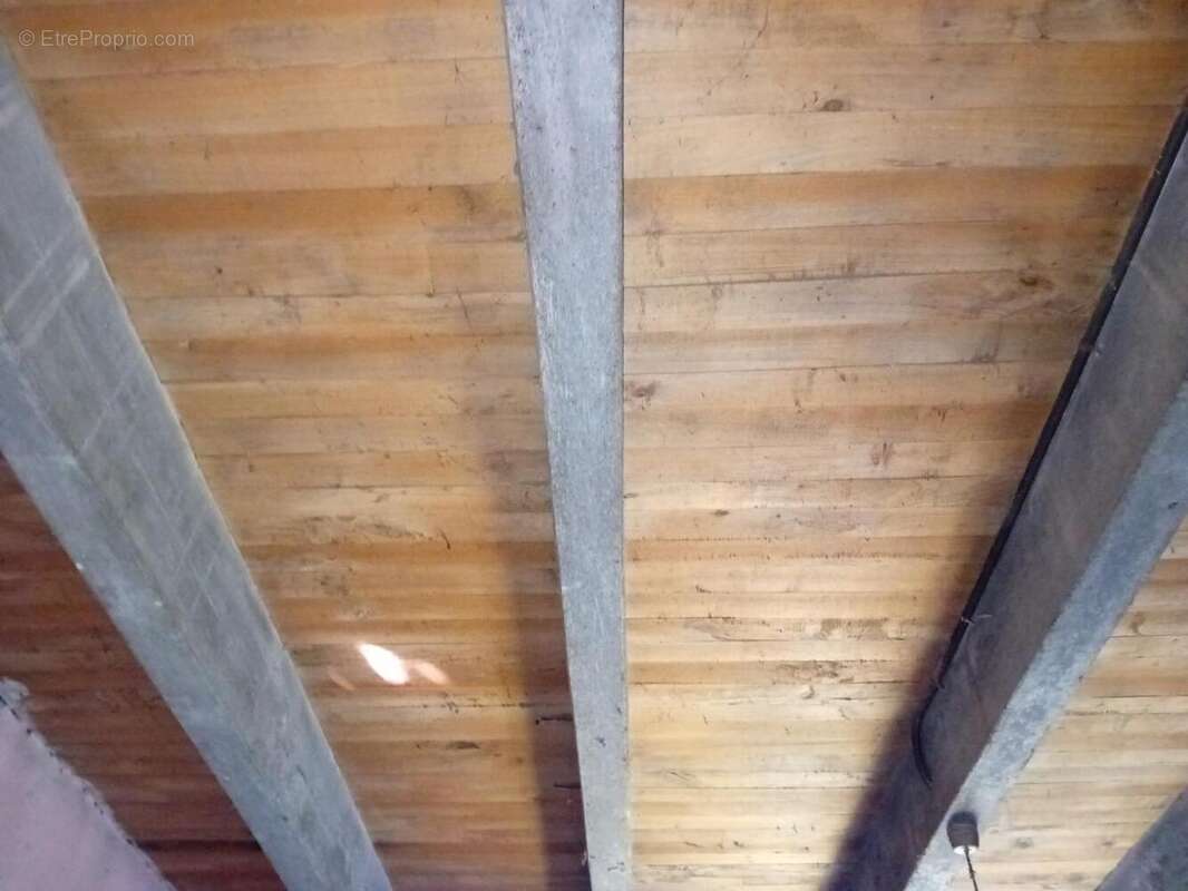 plafond des chambres