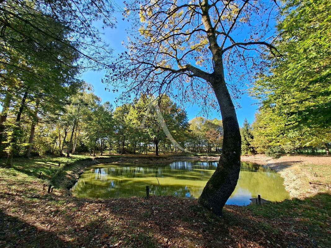 Terrain à VILLEVEQUE