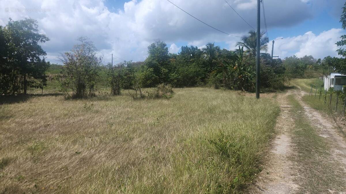 Terrain à SAINTE-ANNE