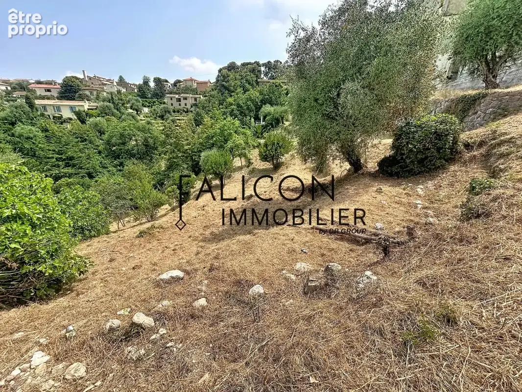 Falicon – Terrain constructible de 1 911 m² avec permis purgé pour une villa contemporaine - photo 3