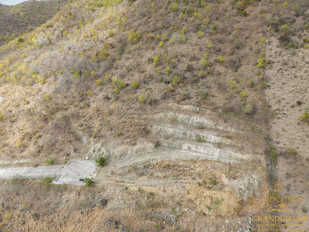 Exclusivité   2 parcelles vue mer - grand case - photo 7