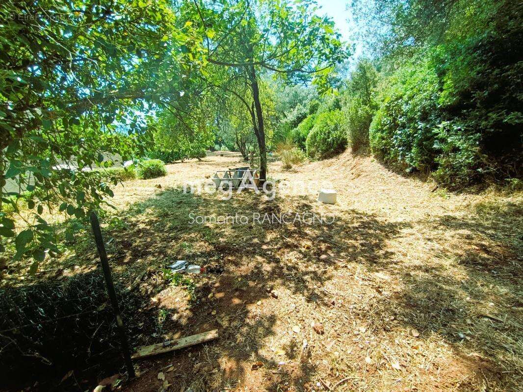 Maison à LE CANNET-DES-MAURES