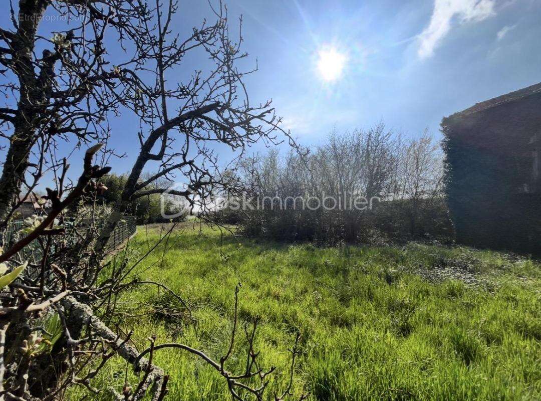 Maison à CRECHES-SUR-SAONE