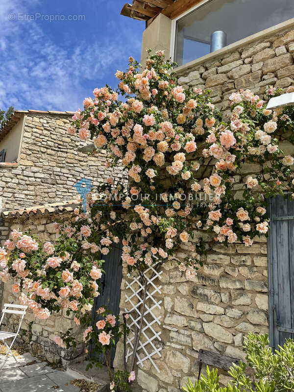 Maison à MURS