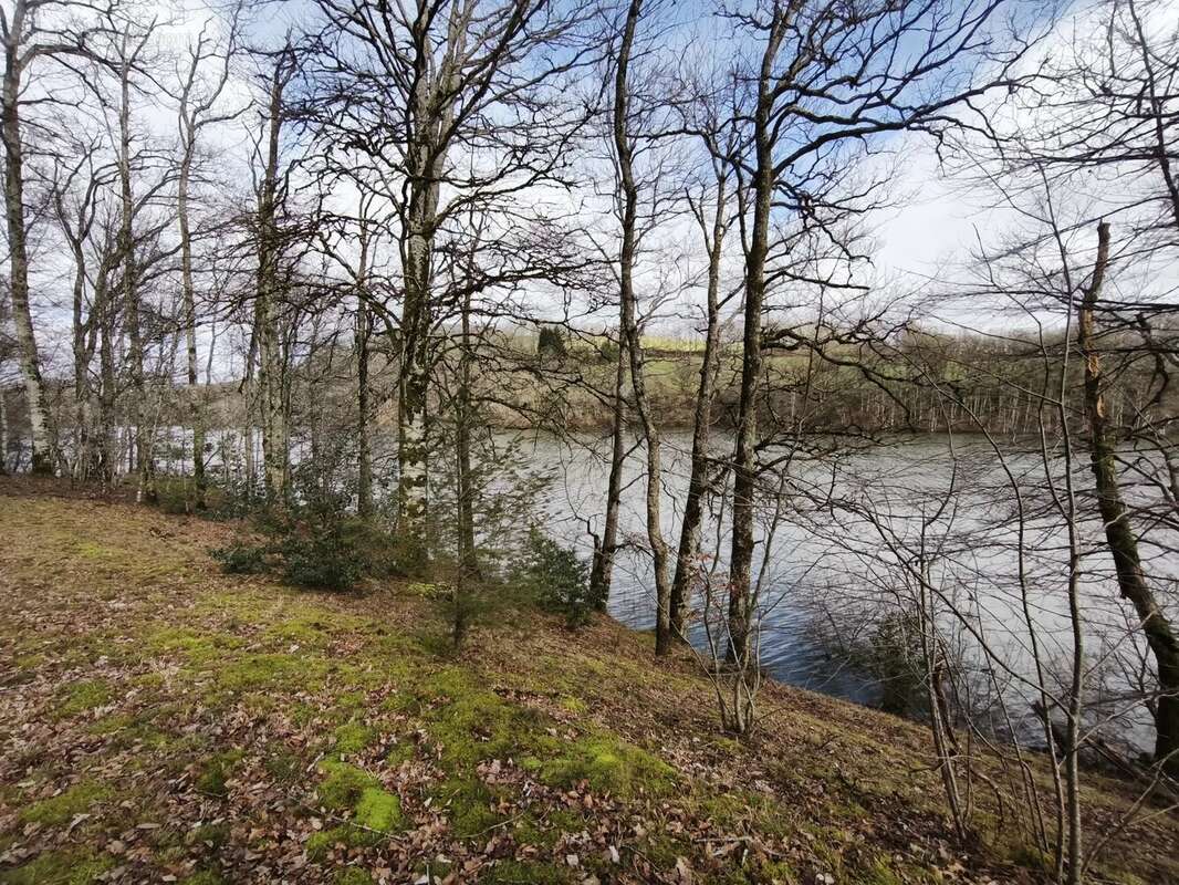 Terrain à PONT-DE-SALARS