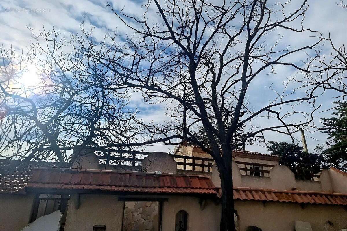 Photo 8 - Maison à BEZIERS