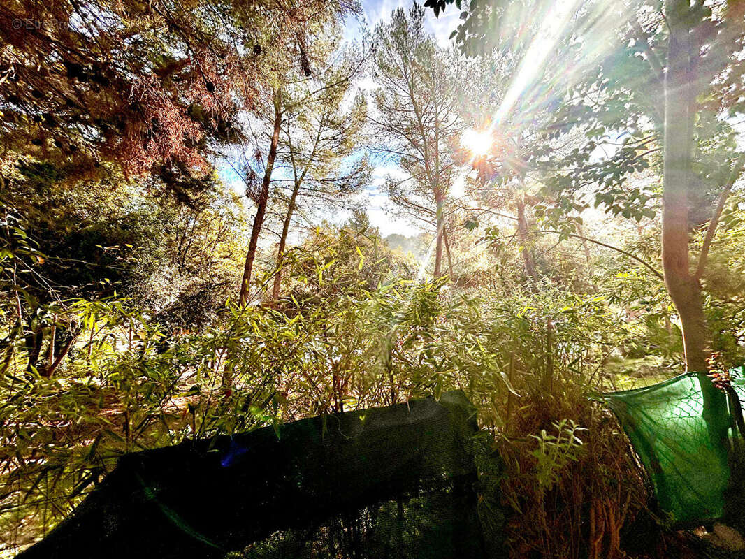 Appartement à MOUGINS