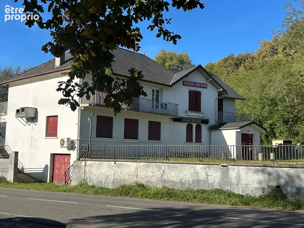 A vendre  le coucou des bois à ordiarp - photo 1