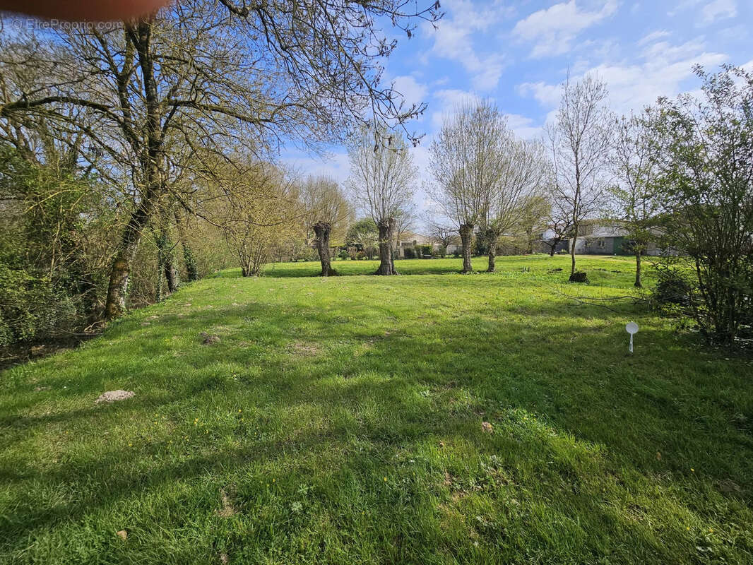 Terrain à SAINT-CHRISTOPHE