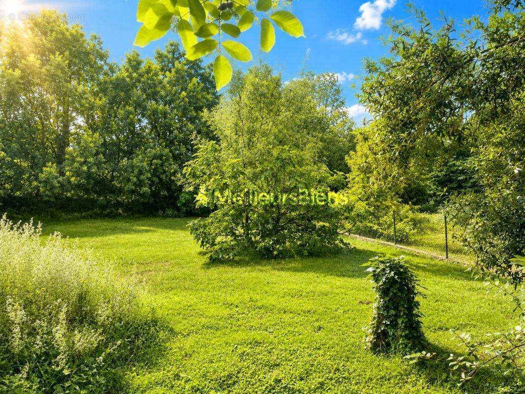 Montrabé - maison t5 - 94m2 - terrain 1322 - garage + sous sol 74m2 - - photo 14