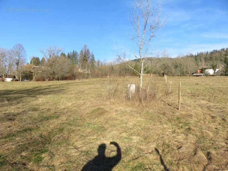 Terrain à HAUTEVILLE-LOMPNES