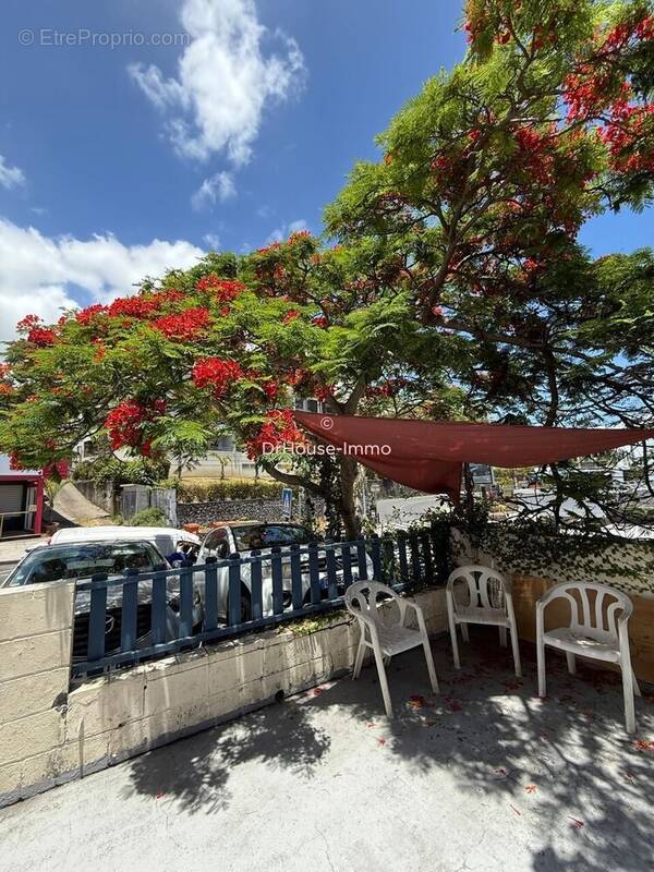 Commerce à LES AVIRONS