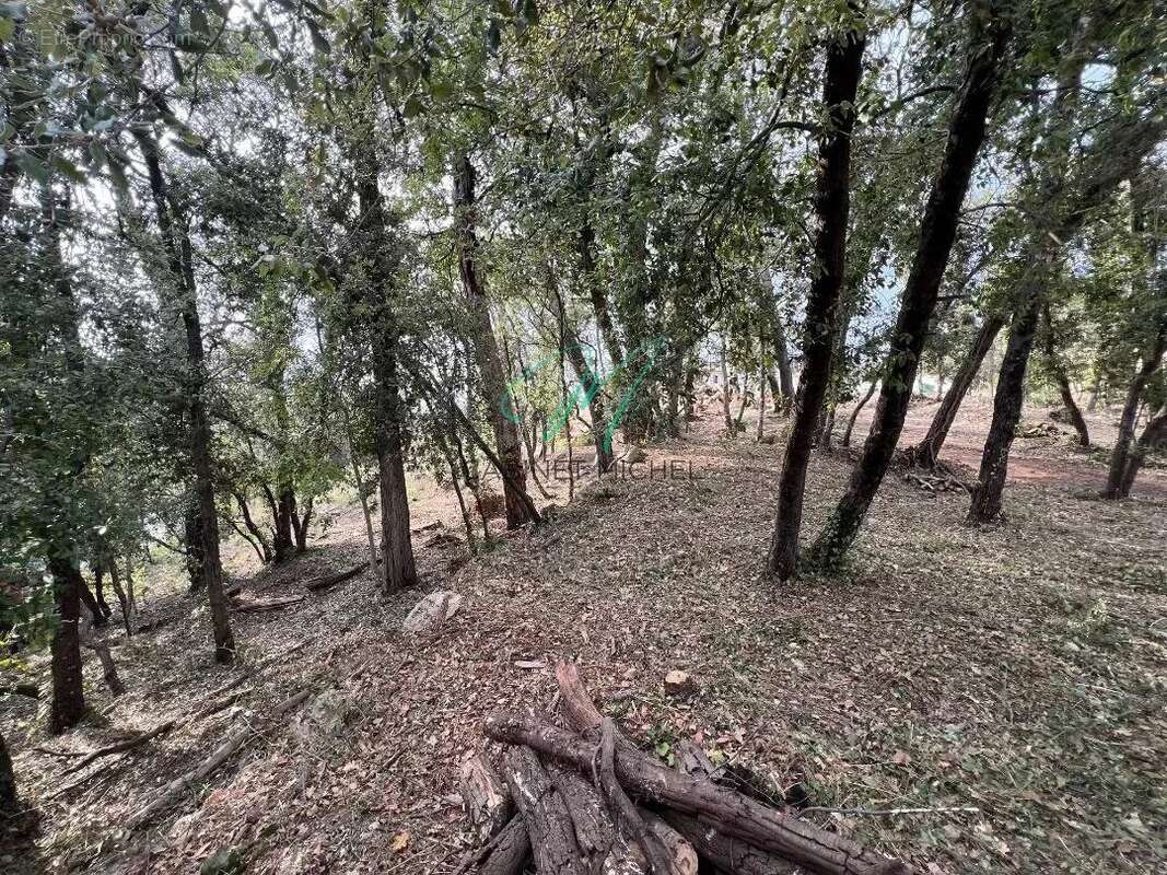 Terrain à ROQUEFORT-LES-PINS