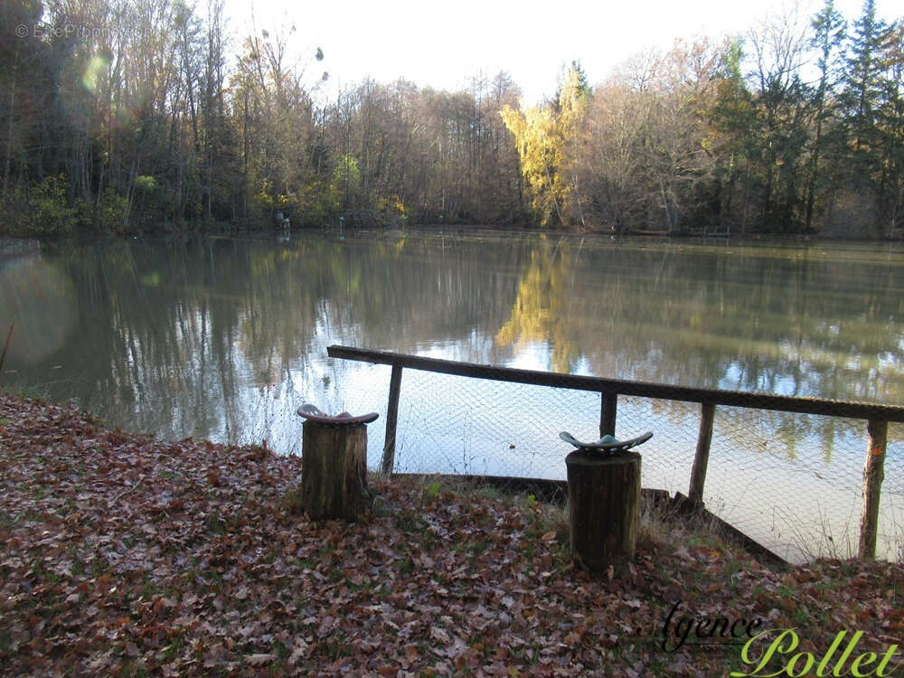 Terrain à VAILLY-SUR-SAULDRE