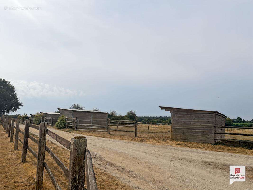 Propriété equestre Erdre En Anjou 7 pièce(s) 169 m2 - photo 6