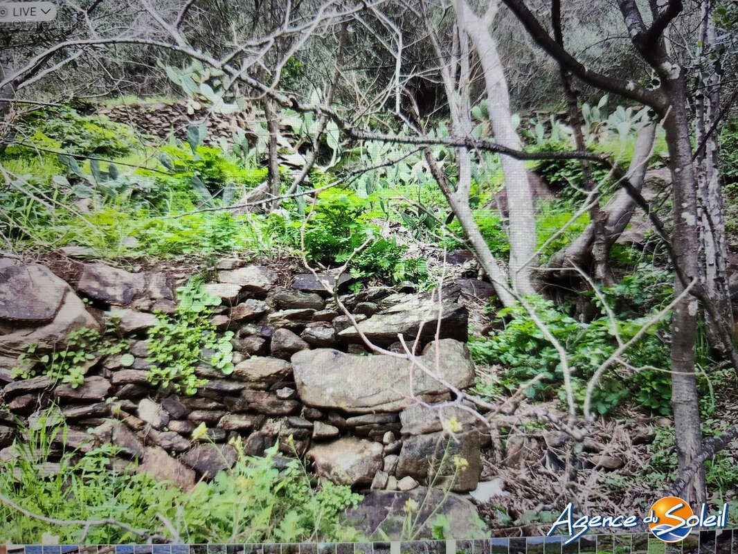 Terrain à BANYULS-SUR-MER