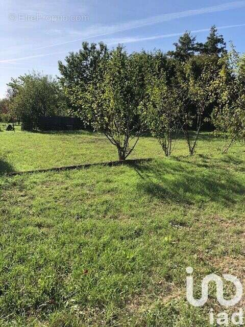 Photo 9 - Maison à ANTRAN