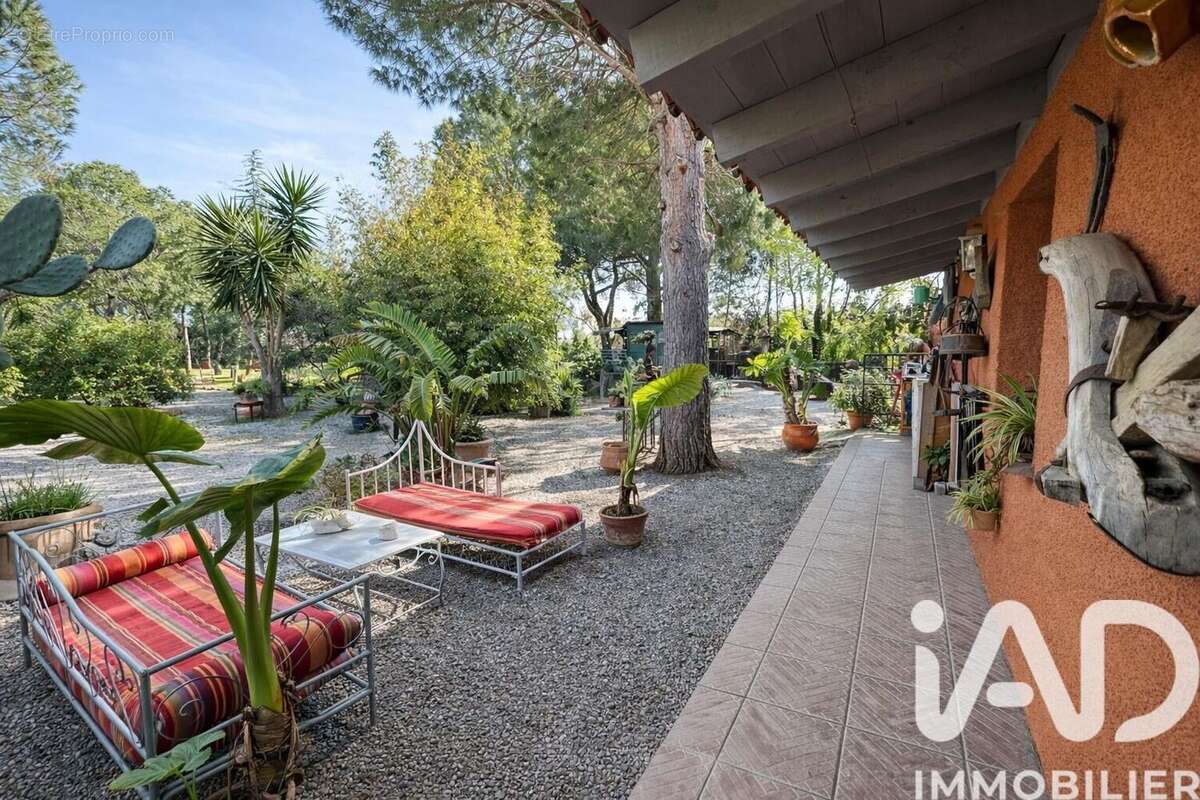 Maison 159 m² à Pia  - photo 6