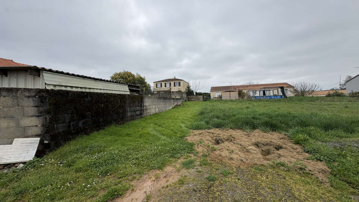 Terrain à bâtir en vente sur Chemillé-en-Anjou - Exclusivité AMP - photo 6