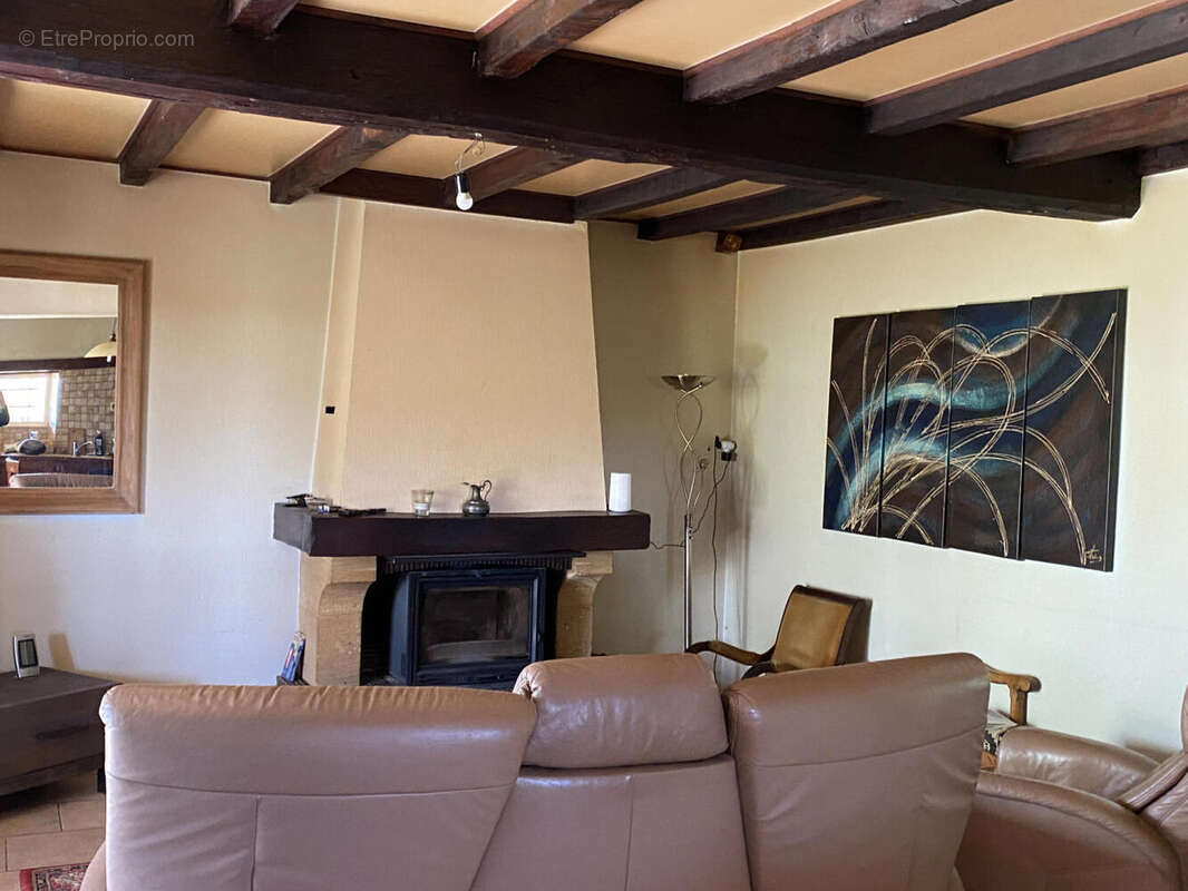 salon - Maison à AUBETERRE-SUR-DRONNE