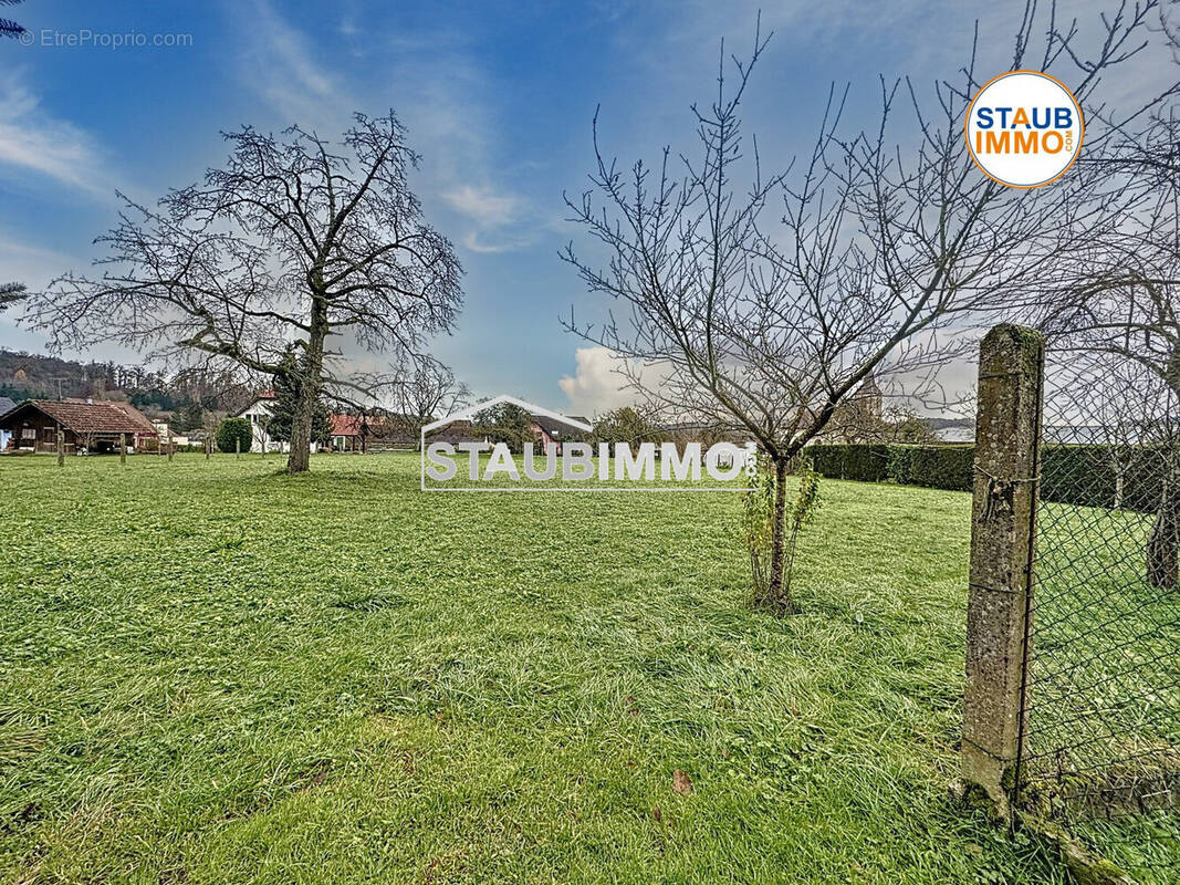 Terrain à BETTENDORF