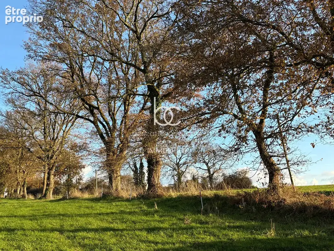 Berric - Terrain 1,5 hectare de Nature, Source et Ruisseau - photo 15