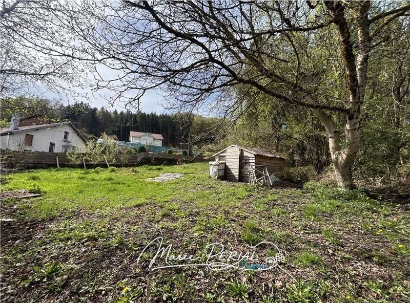 Ancien moulin vosgien du XVIIe siècle – 172 m² habitables – Fort potentiel – Cadre naturel exceptionnel - Herpelmont (88600) - photo 20