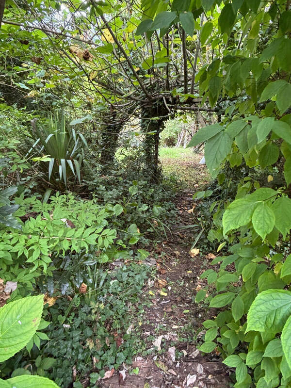 Maison à MOELAN-SUR-MER