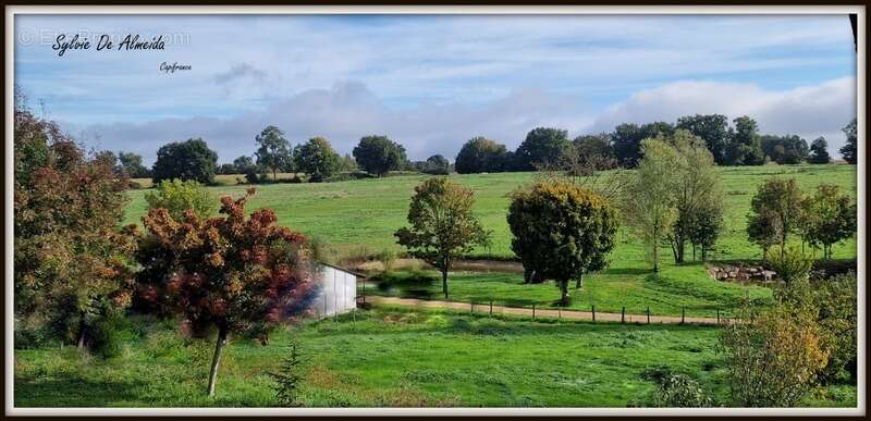Maison à PONT-DE-VEYLE