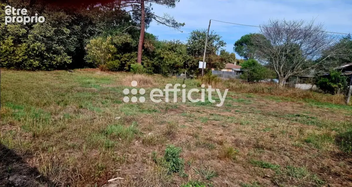 Terrain 716 m² à vendre à Lege-Cap-Ferret (33950) - photo 3