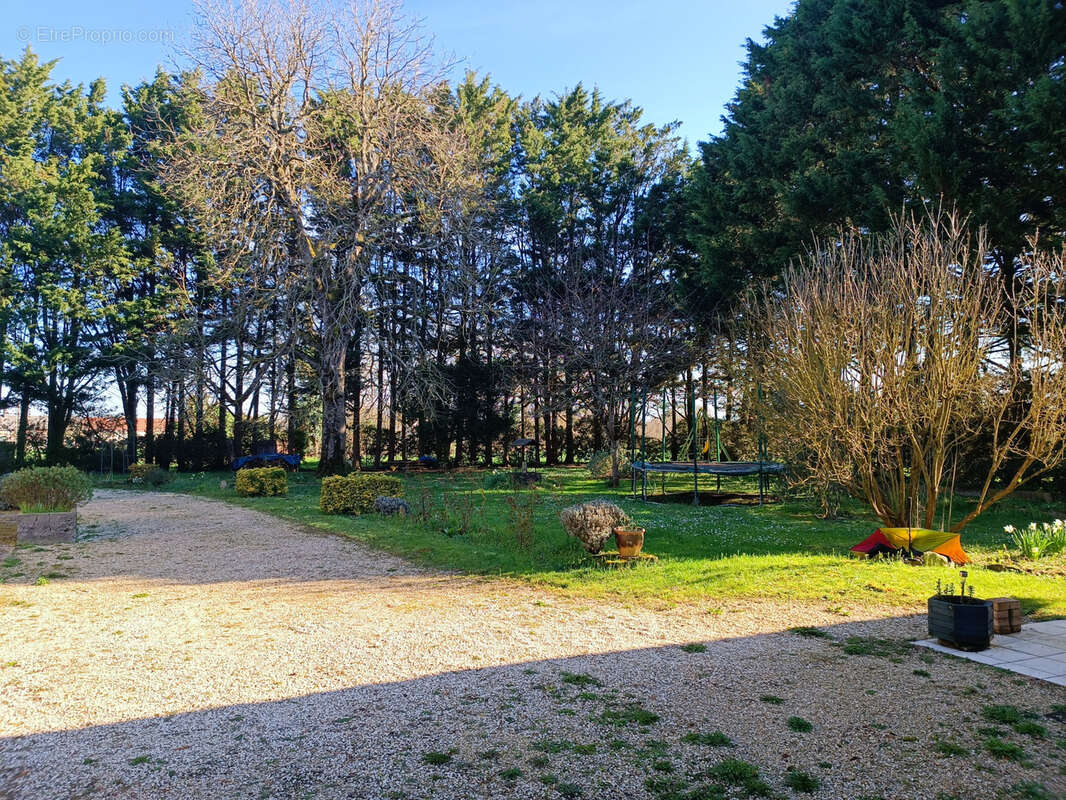 Maison à COUY