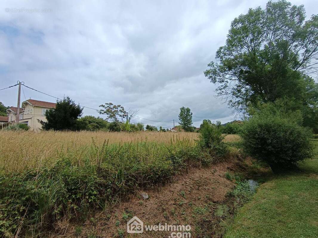 Terrain 1000 m² à Casteide-Candau  - photo 31