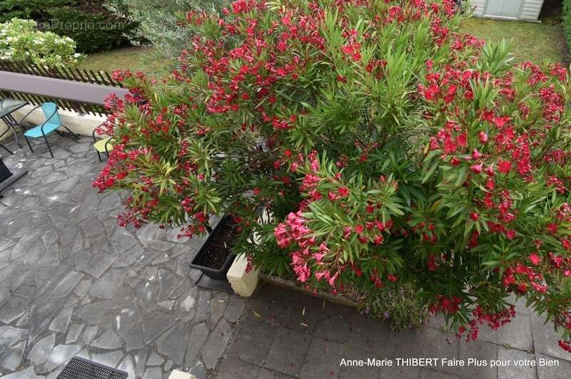 Maison à vendre 5 pièces CHASSIEU (69) - photo 27