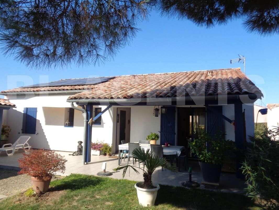 DSC04107 - Maison à CASTELMAYRAN