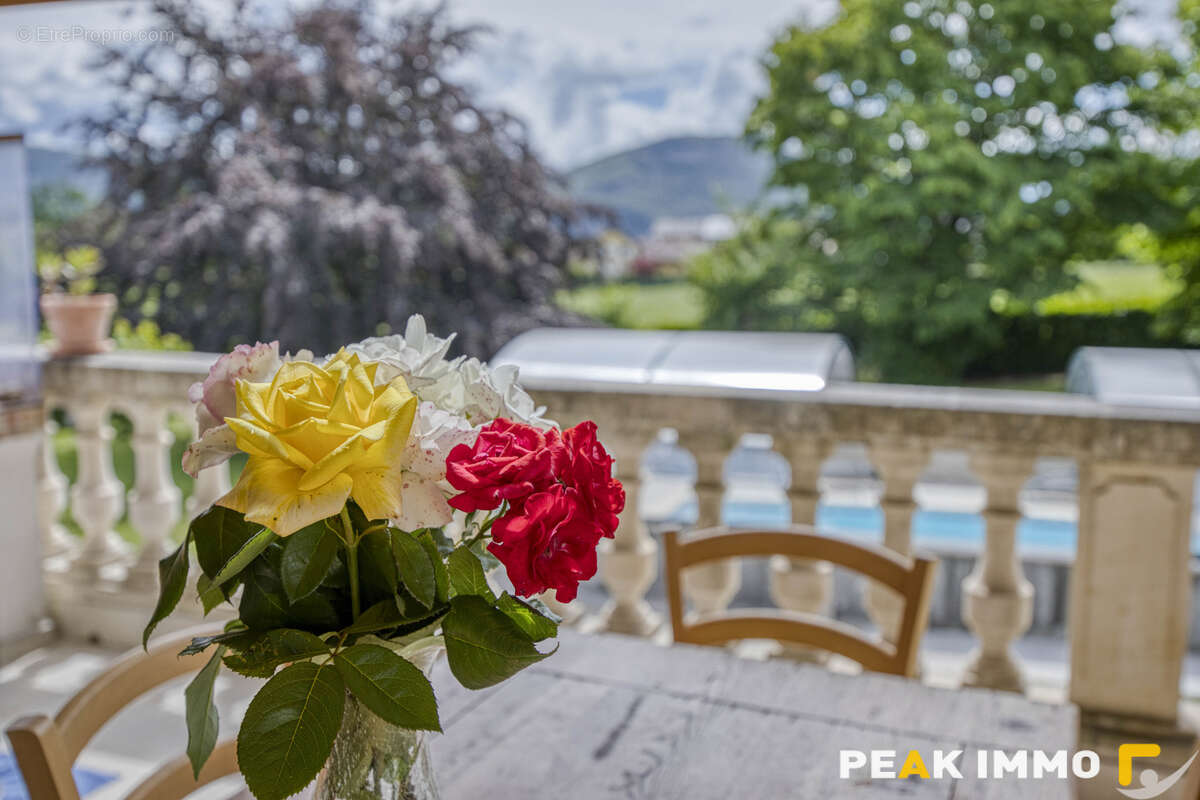 Maison - 150m2 - Terrain - 3223m2 - LA BALME DE SILLINGY - photo 13