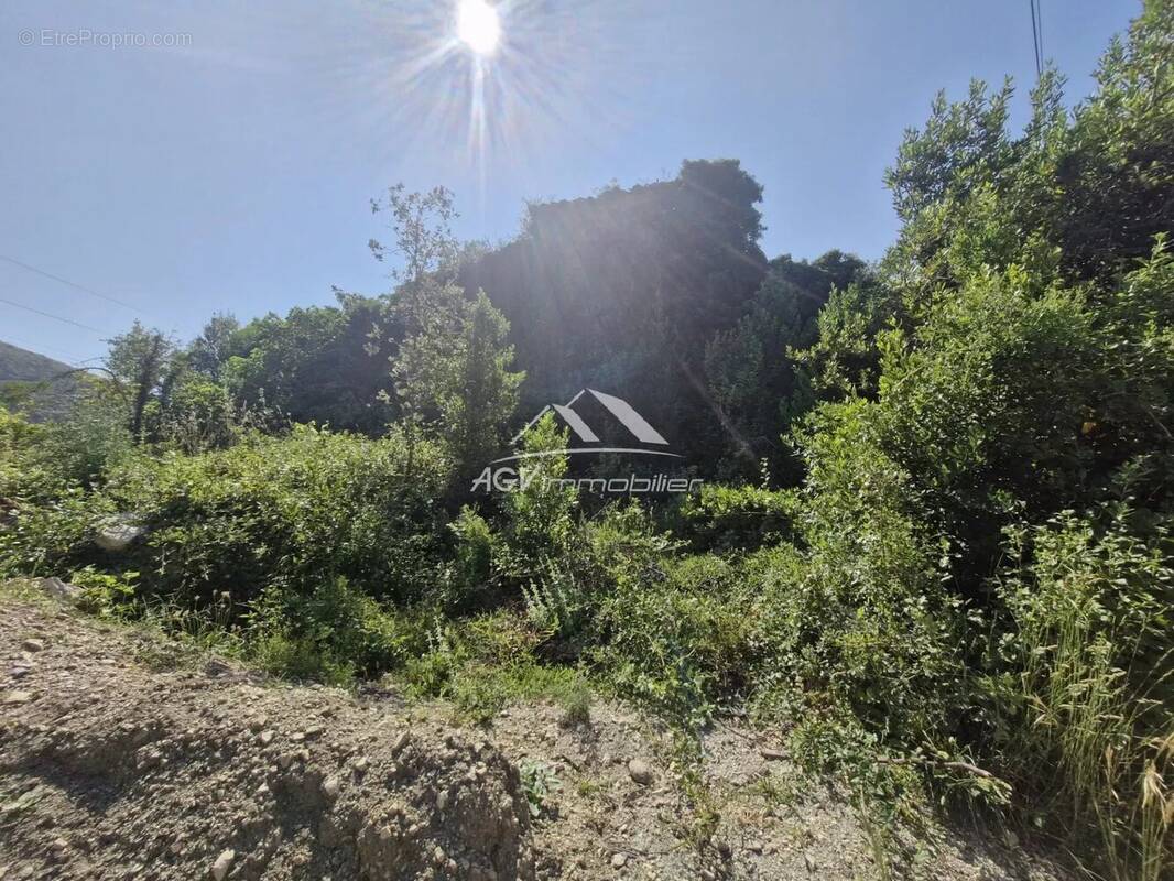 Terrain à SAINT-FLORENT-SUR-AUZONNET