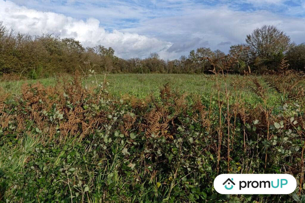 Terrain à LOQUEFFRET