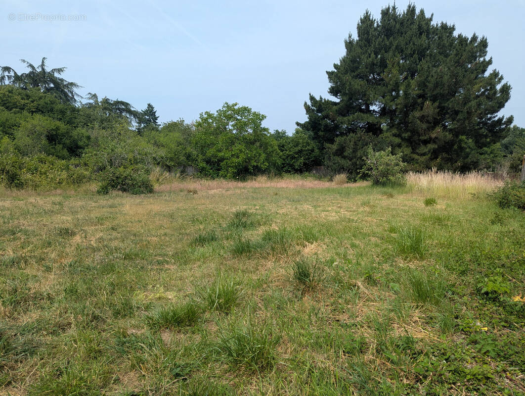 Terrain à AMILLY
