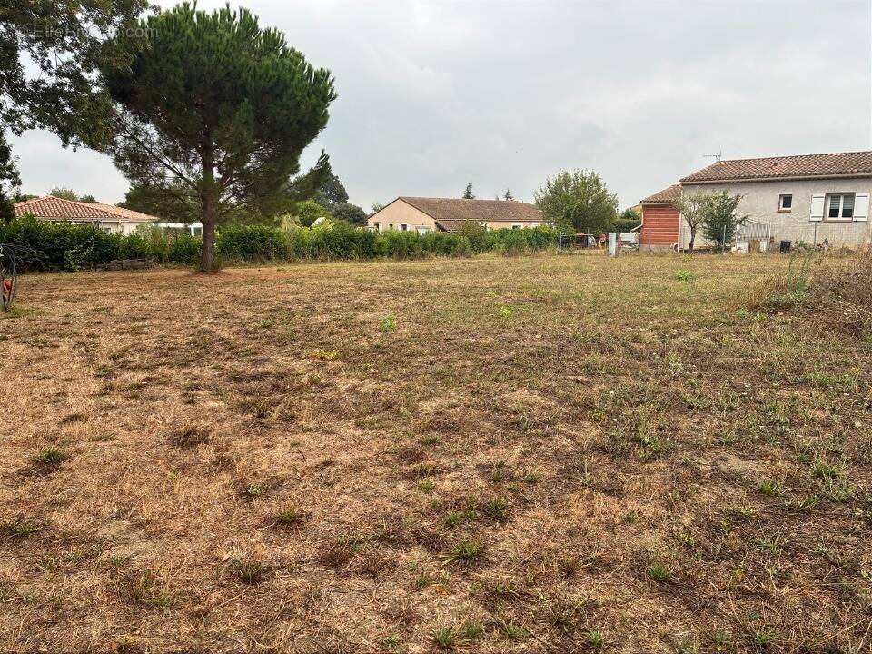 Terrain à SAINTE-EULALIE