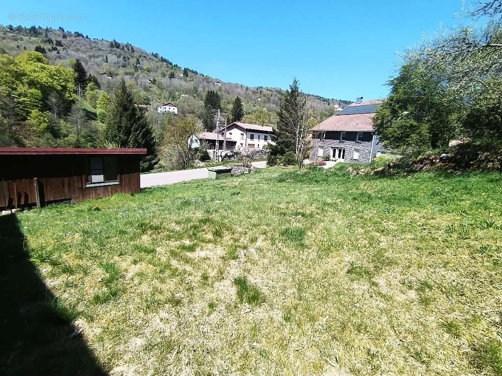 La Bresse centre bonne maison de plain pied - photo 6