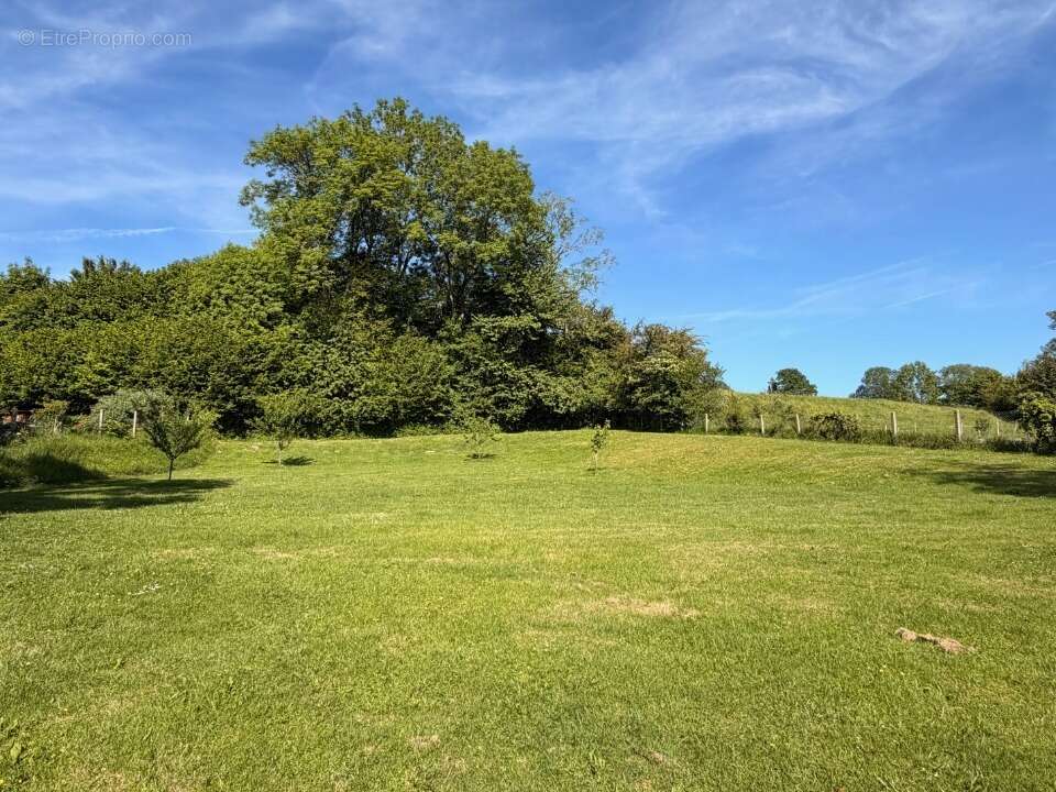 Terrain à NAUCELLES
